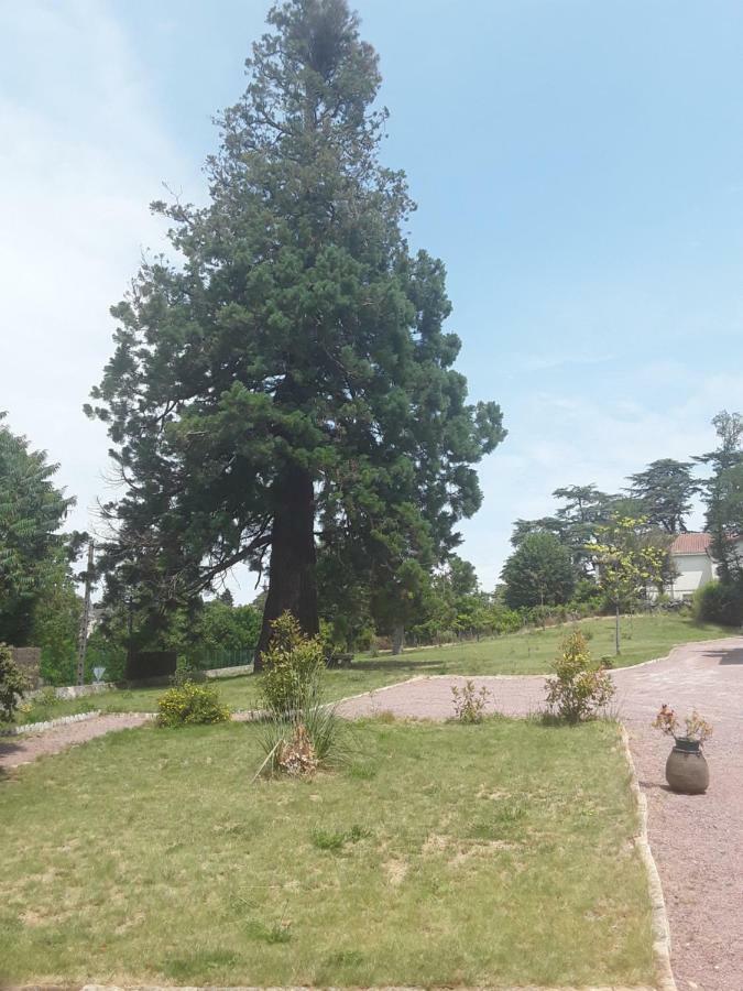 Le Manoir Sequoia Hotel Airvault Buitenkant foto